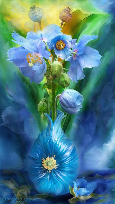 Blue poppies in poppy vase carol cavalaris