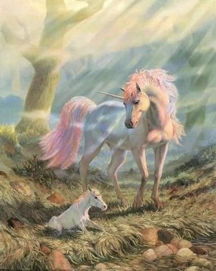 licorne.jpg